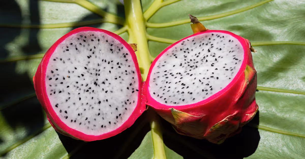Organic Dragon Fruit Powder